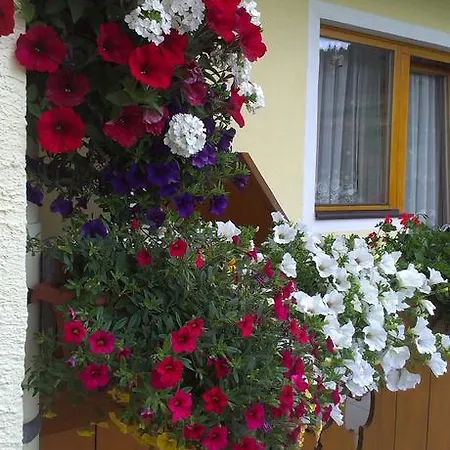 Ramsbacher 아파트 *