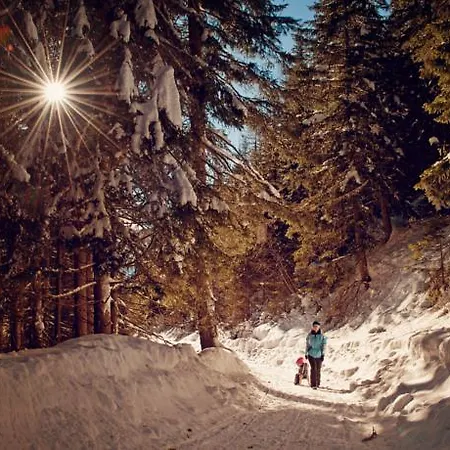 Ramsbacher 아파트 렌베그