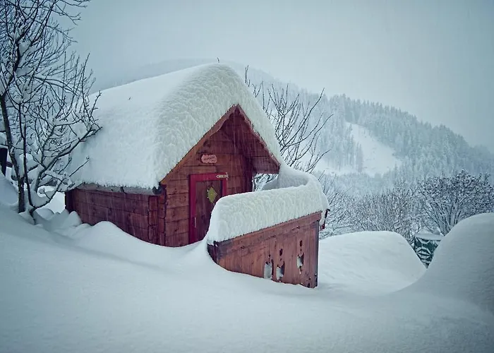 Apartment Ramsbacher Rennweg am Katschberg