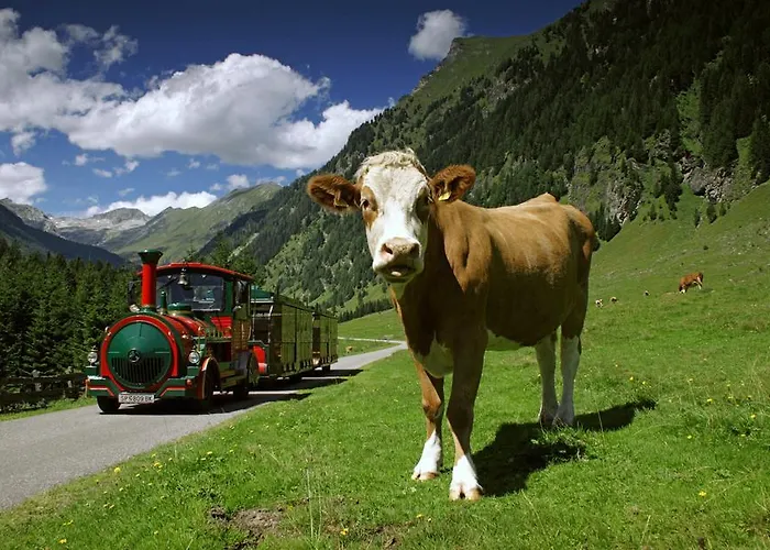 Apartment Ramsbacher