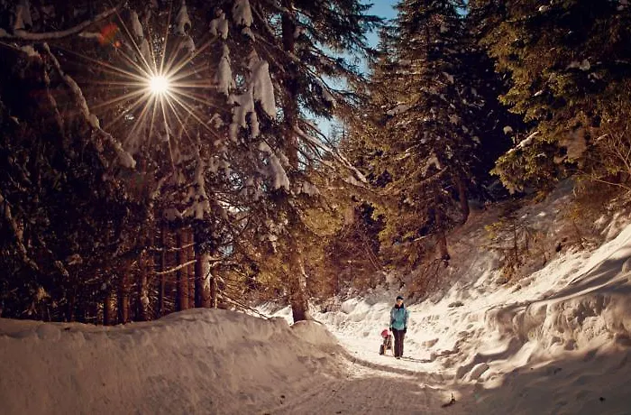 Ramsbacher דירה רנווג